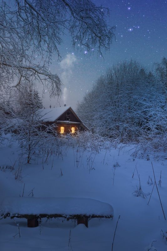 Домик в лесу фото превью