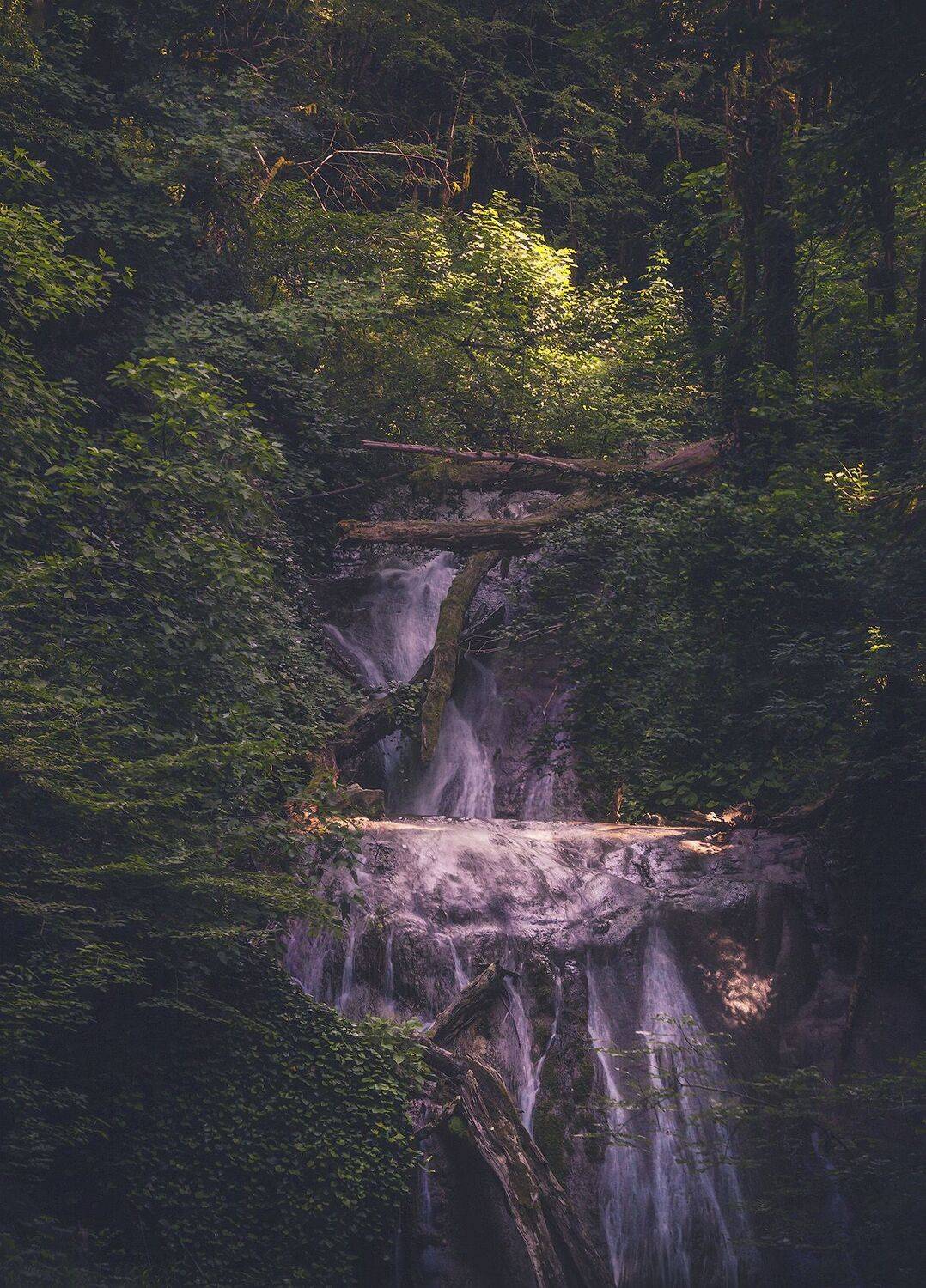 , Аседач Александр