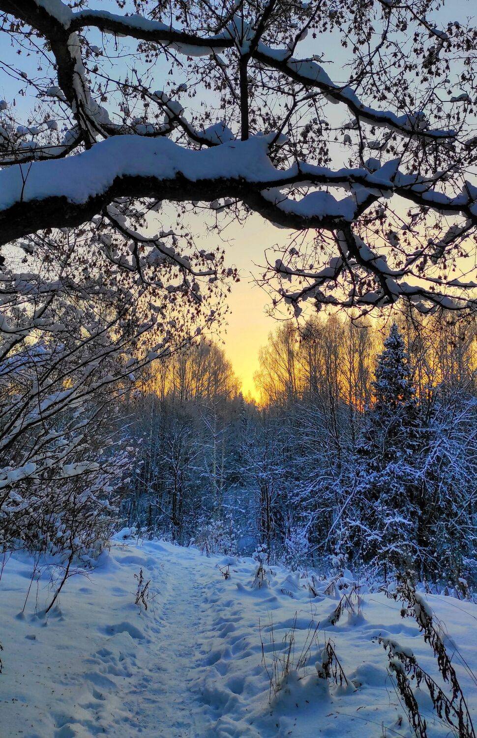 , Перешеин Андрей