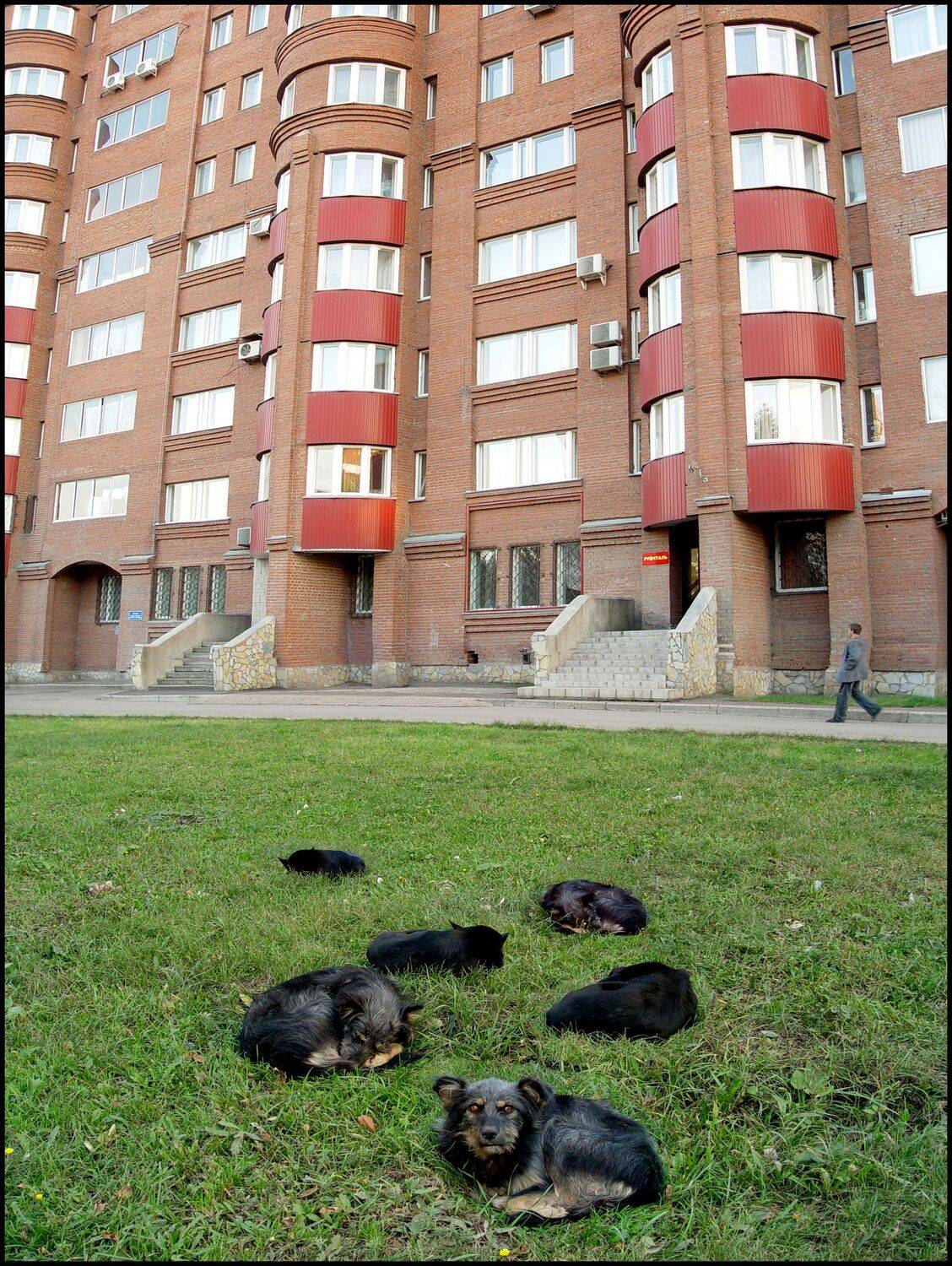 , Меднов Влад