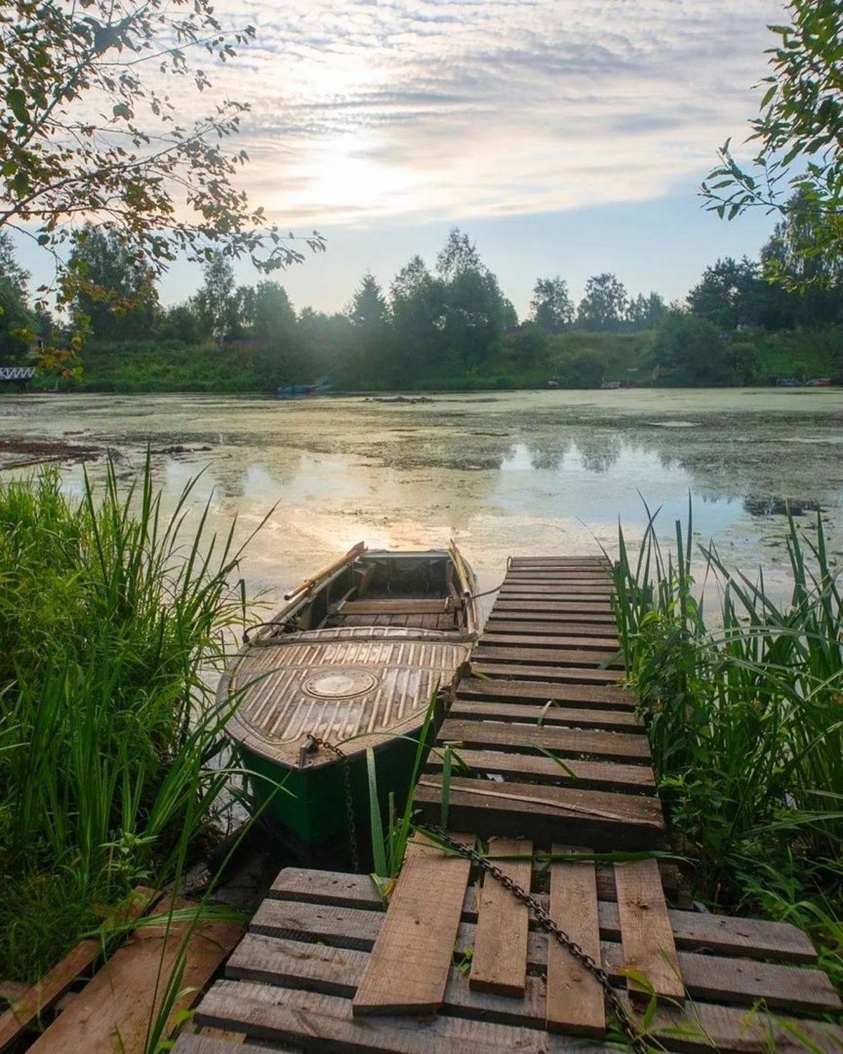 , Петр Косых