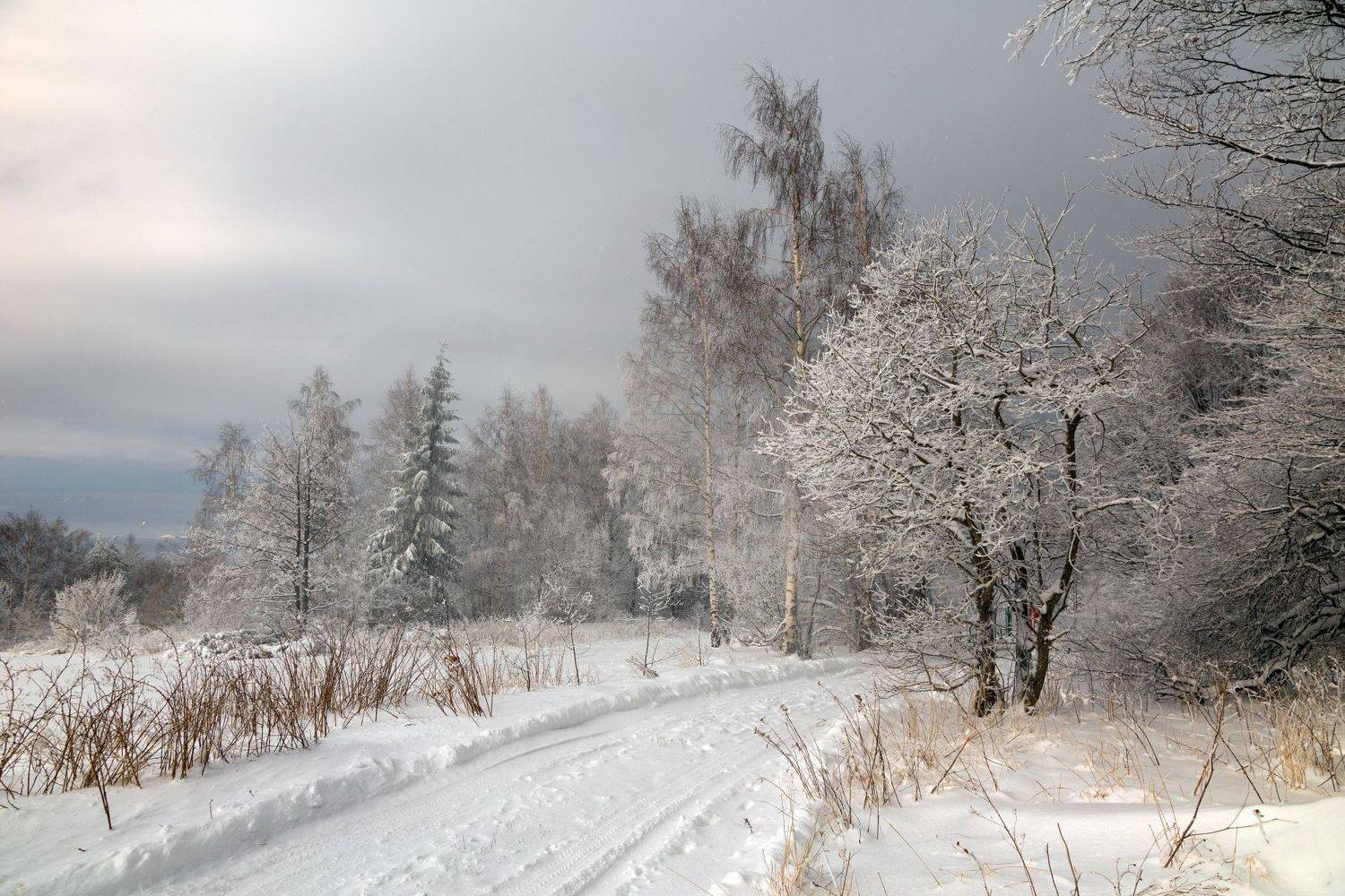 , Александър Сандев