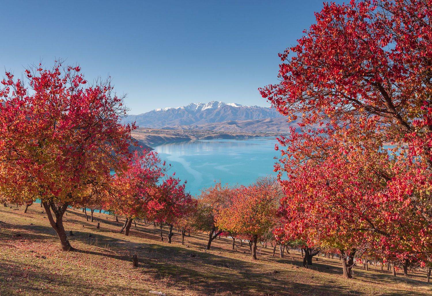 узбекистан, чарвакское водохранилище, Исаков Дмитрий