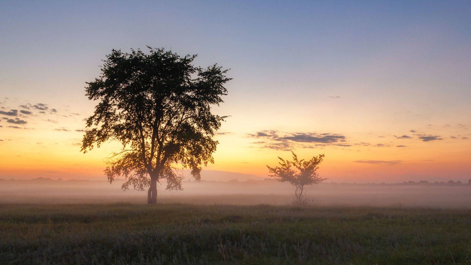 , Елисеев Александр