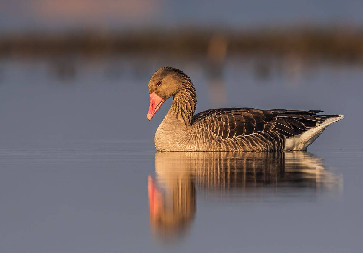 , Sławek Przybylski