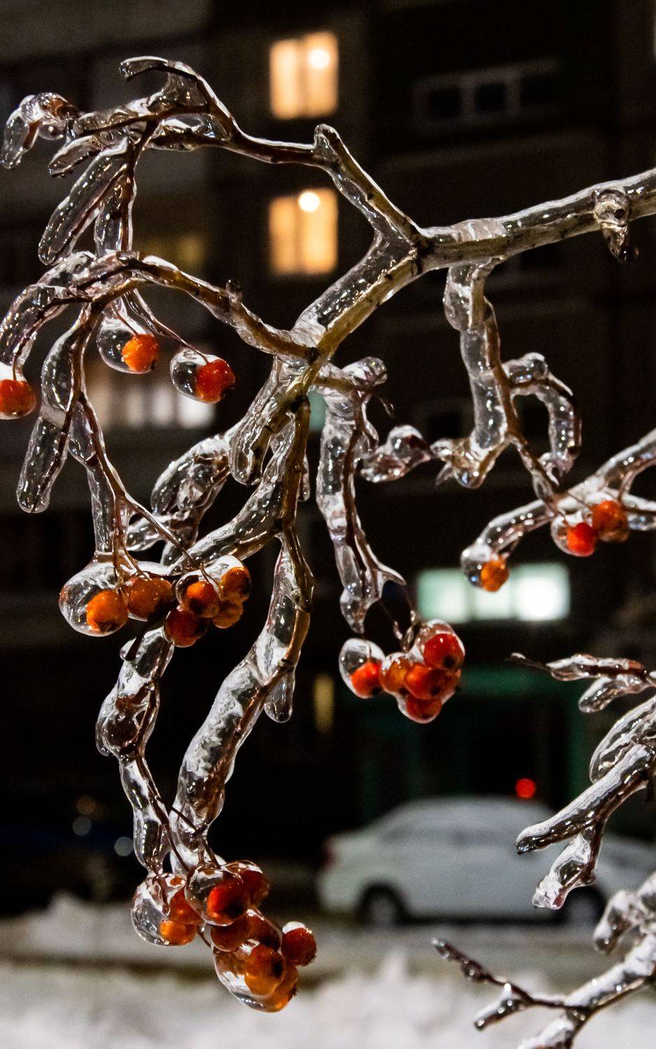 лёд, ледяной дождь, 2022, Александрова Ольга