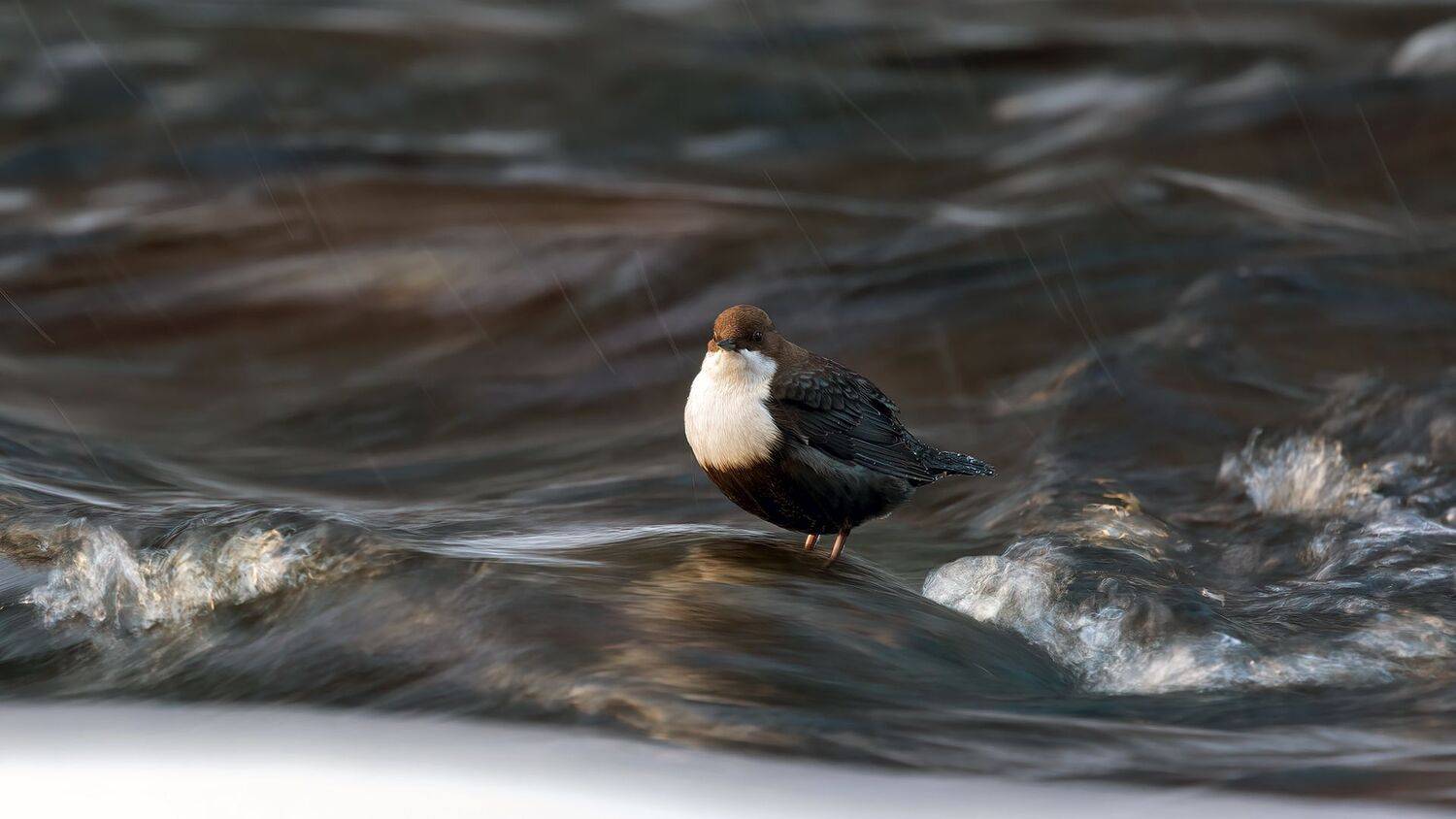 , Калинин Михаил