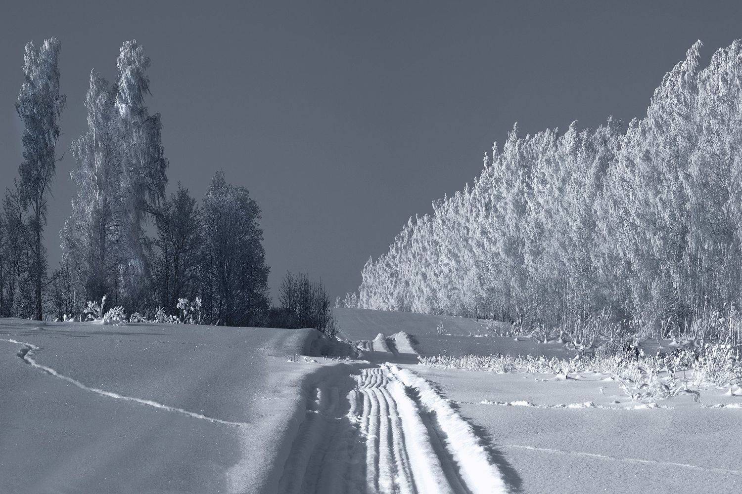 , Ольга Заболотская