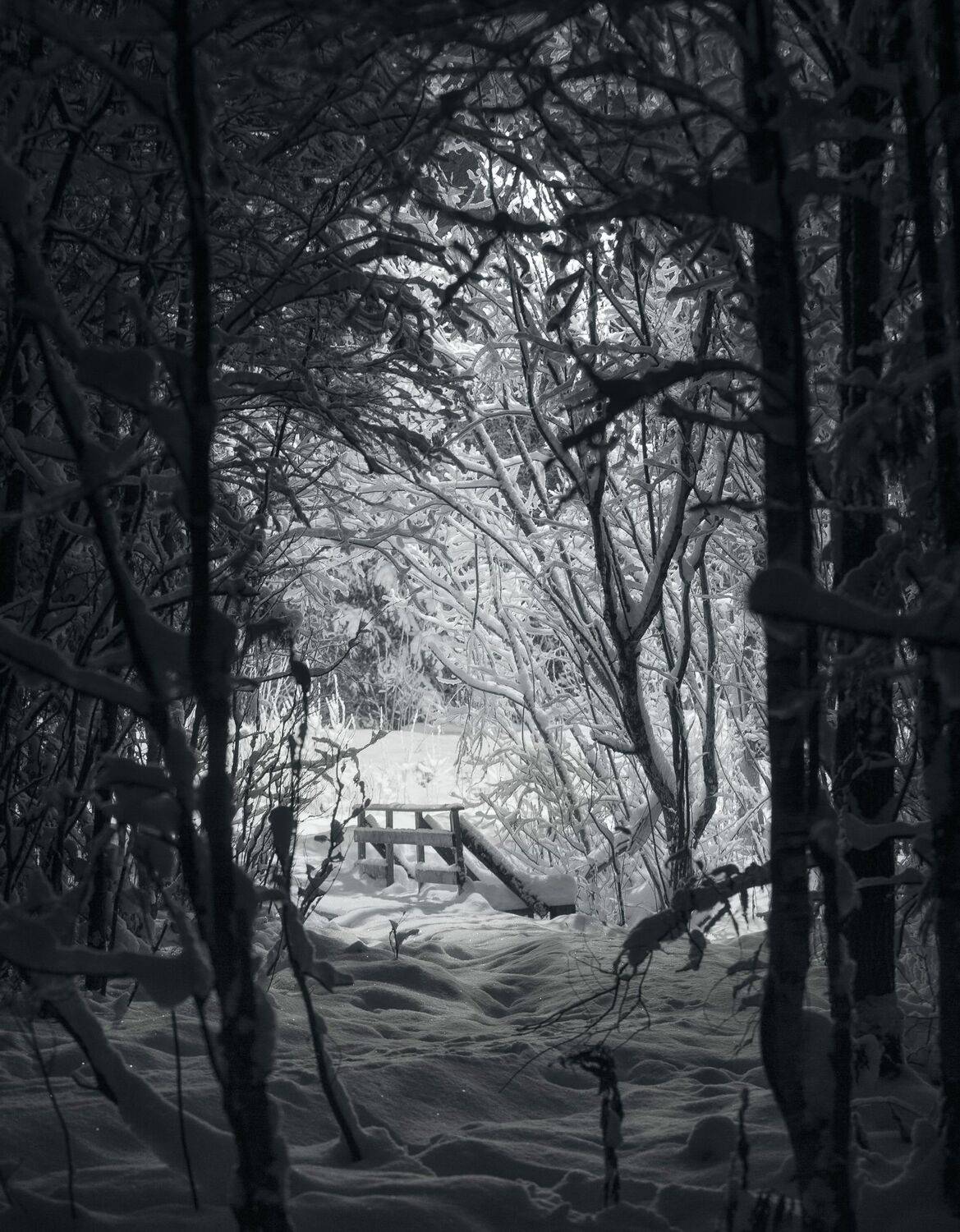 , Федотов Сергей