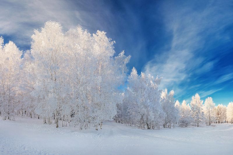 иркутск, академгородок Мороз и солнце фото превью