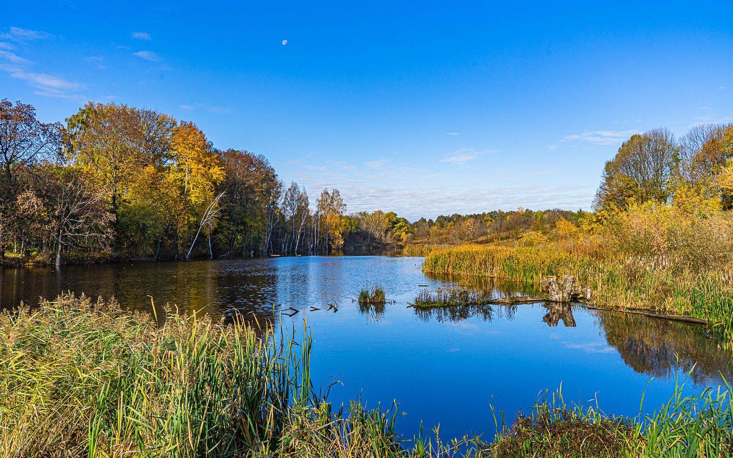 осень, пруд, пейзаж,, Николай Бологов