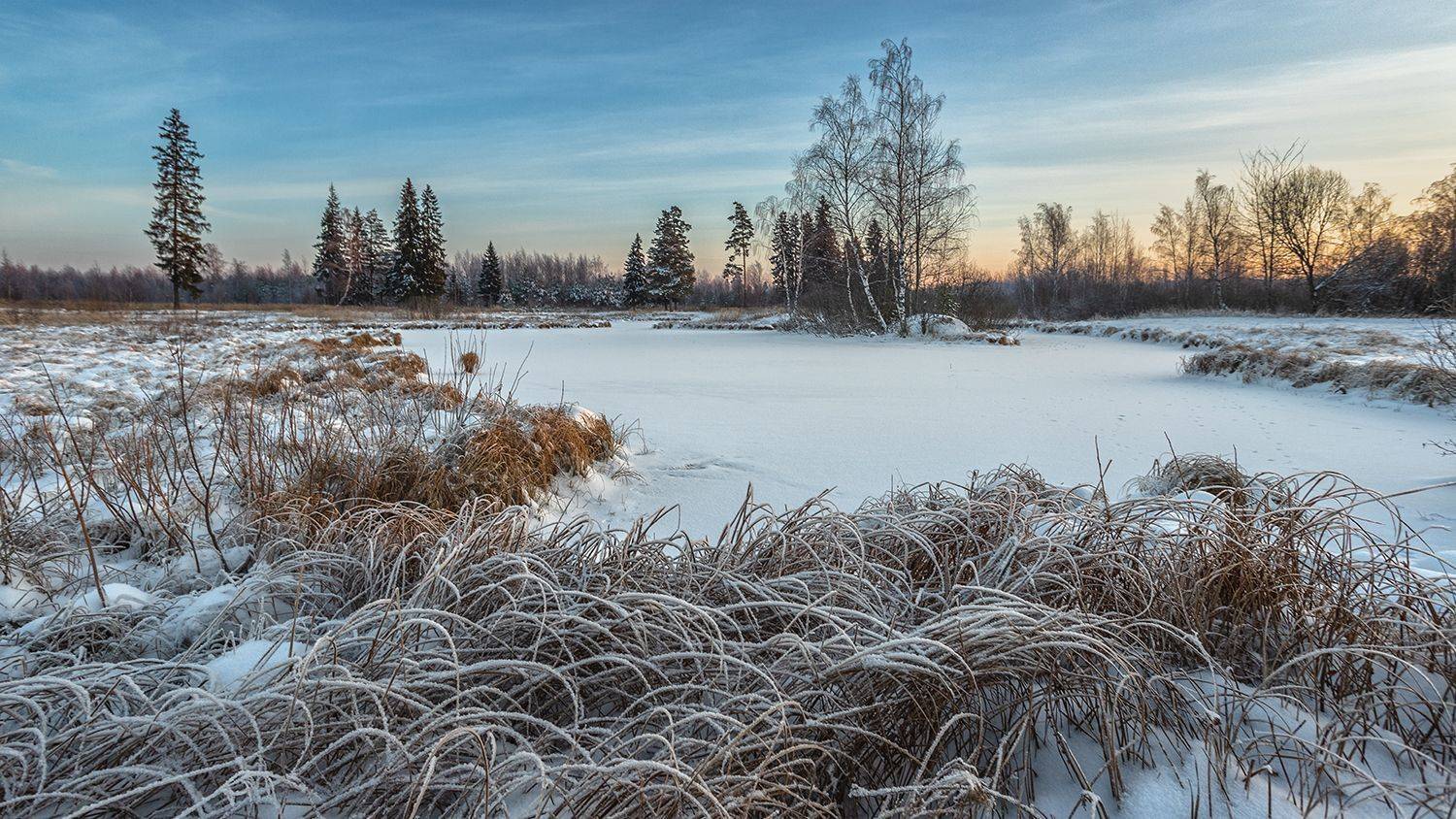 , Андреев Николай
