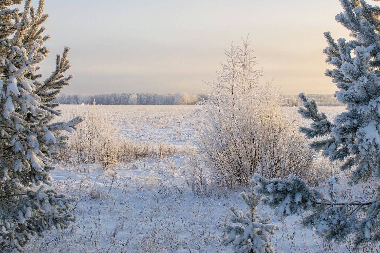 , Галина Луценко
