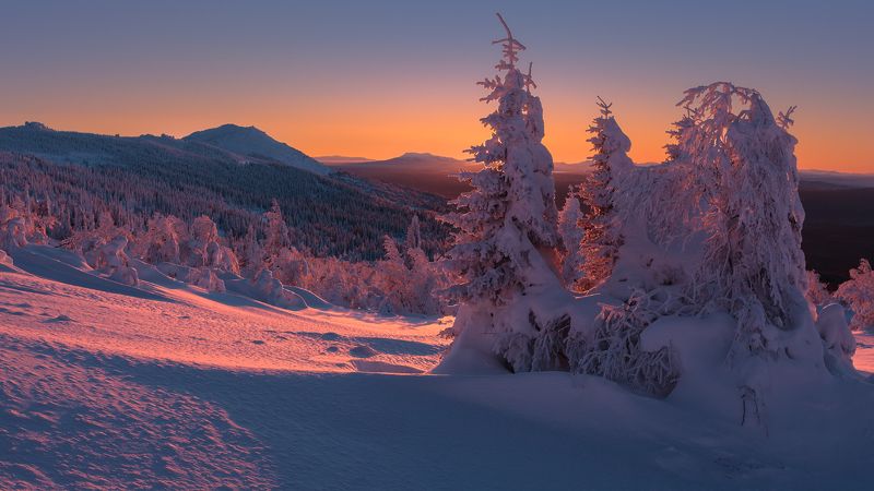 В морозной тишине фото превью