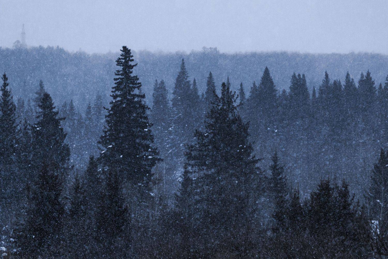 , Логвинович Андрей