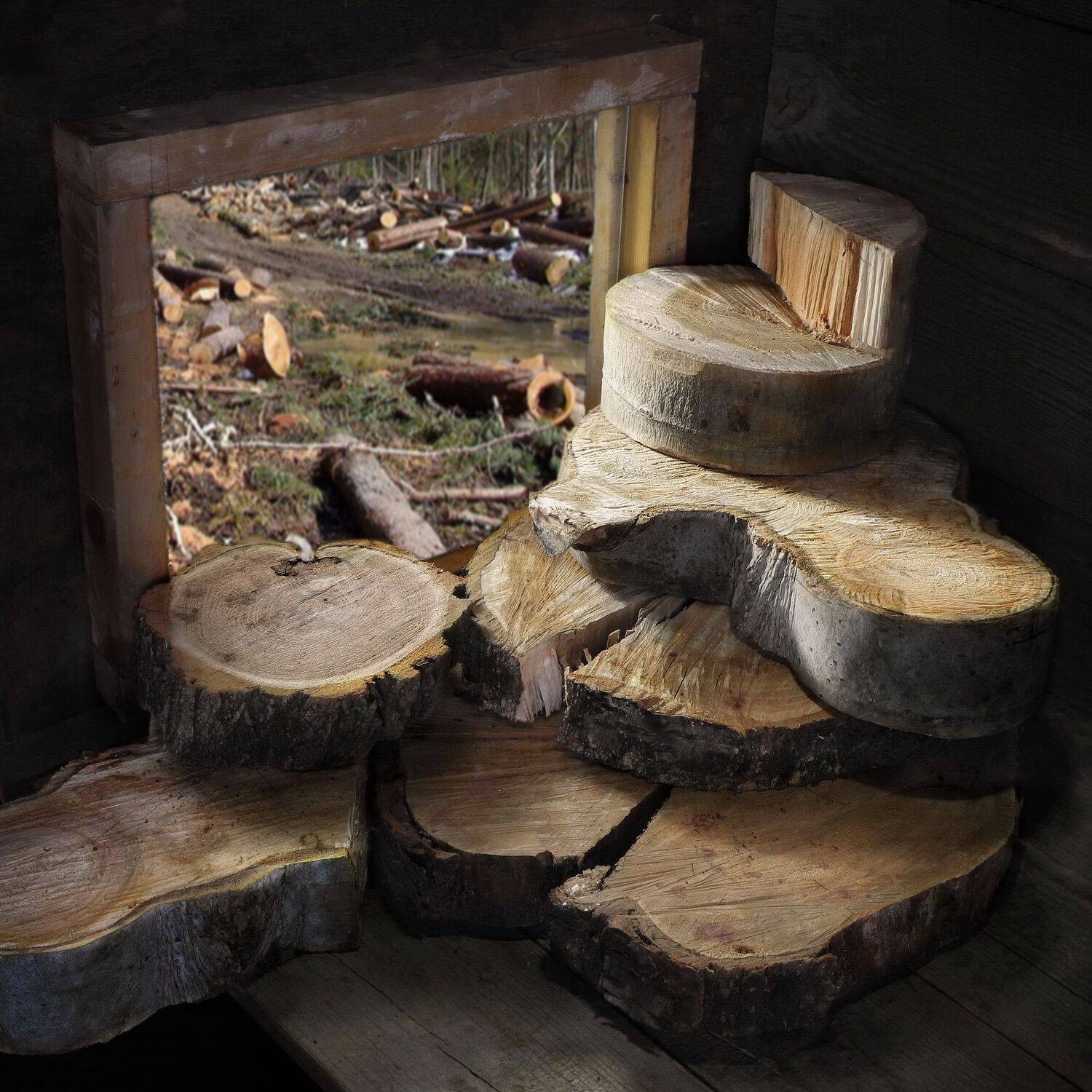 лесоповал, дрова, натюрморт, история,, Сергей Фунтовой