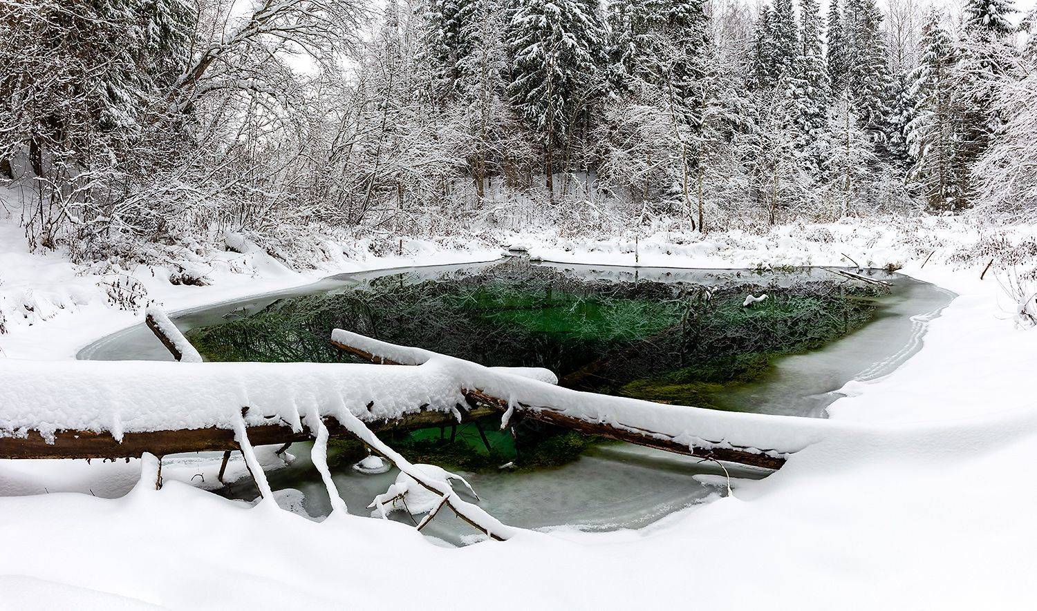 , Александр Абросимов