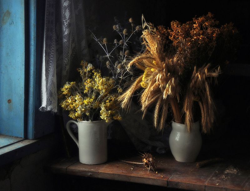 В ожидании солнца фото превью