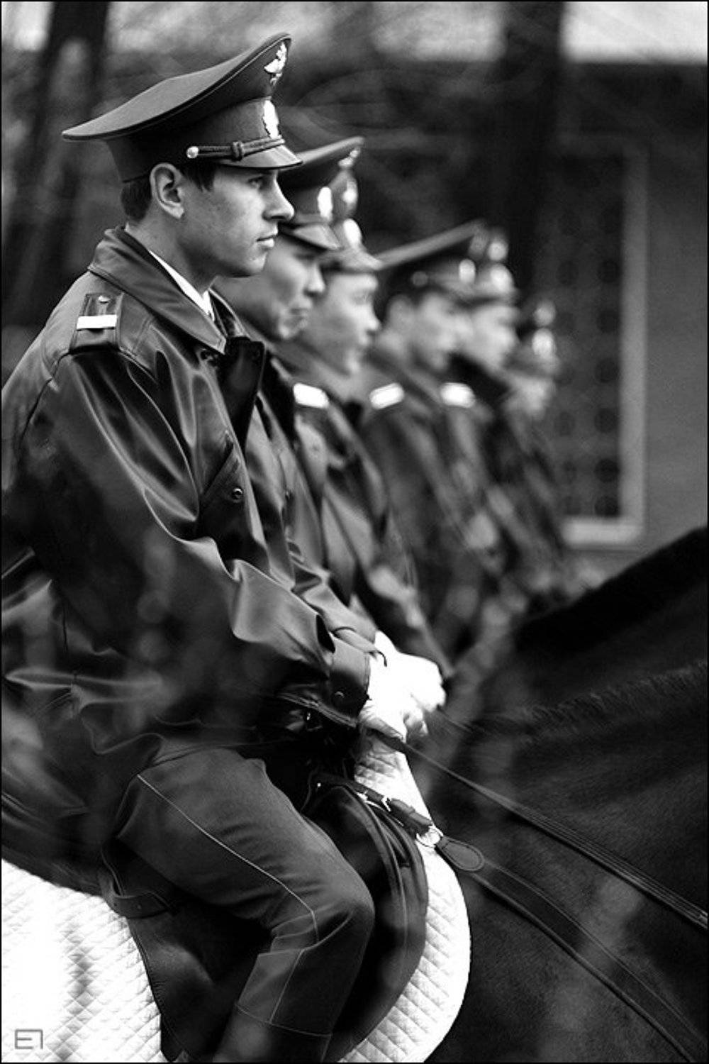 репортаж, 1 мая, милиция, лошади, Евгений Павленко