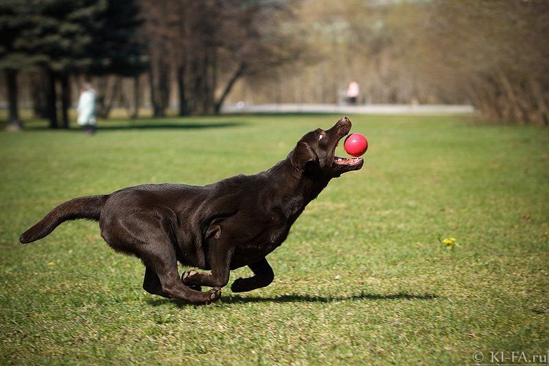 ...солнце проглотил... фото превью