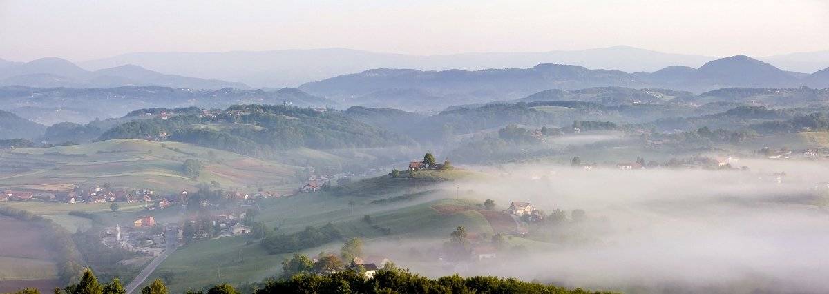 весна, Словения, Нетушки