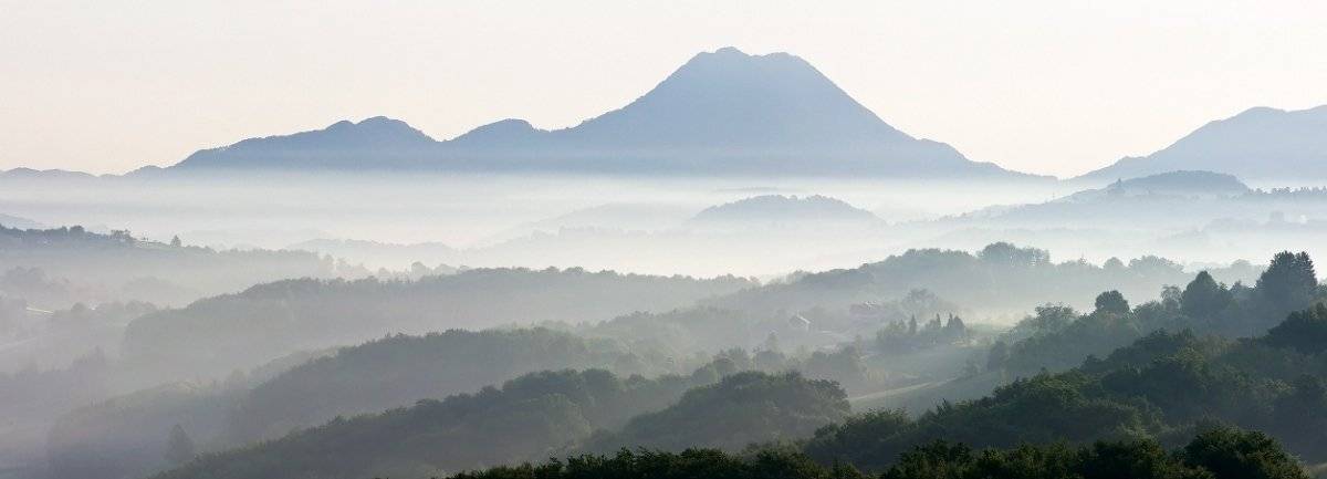 туманьчег, Нетушки