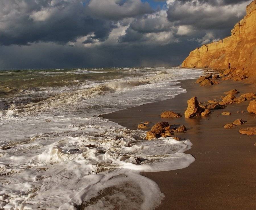 , Андрей  Золочевский