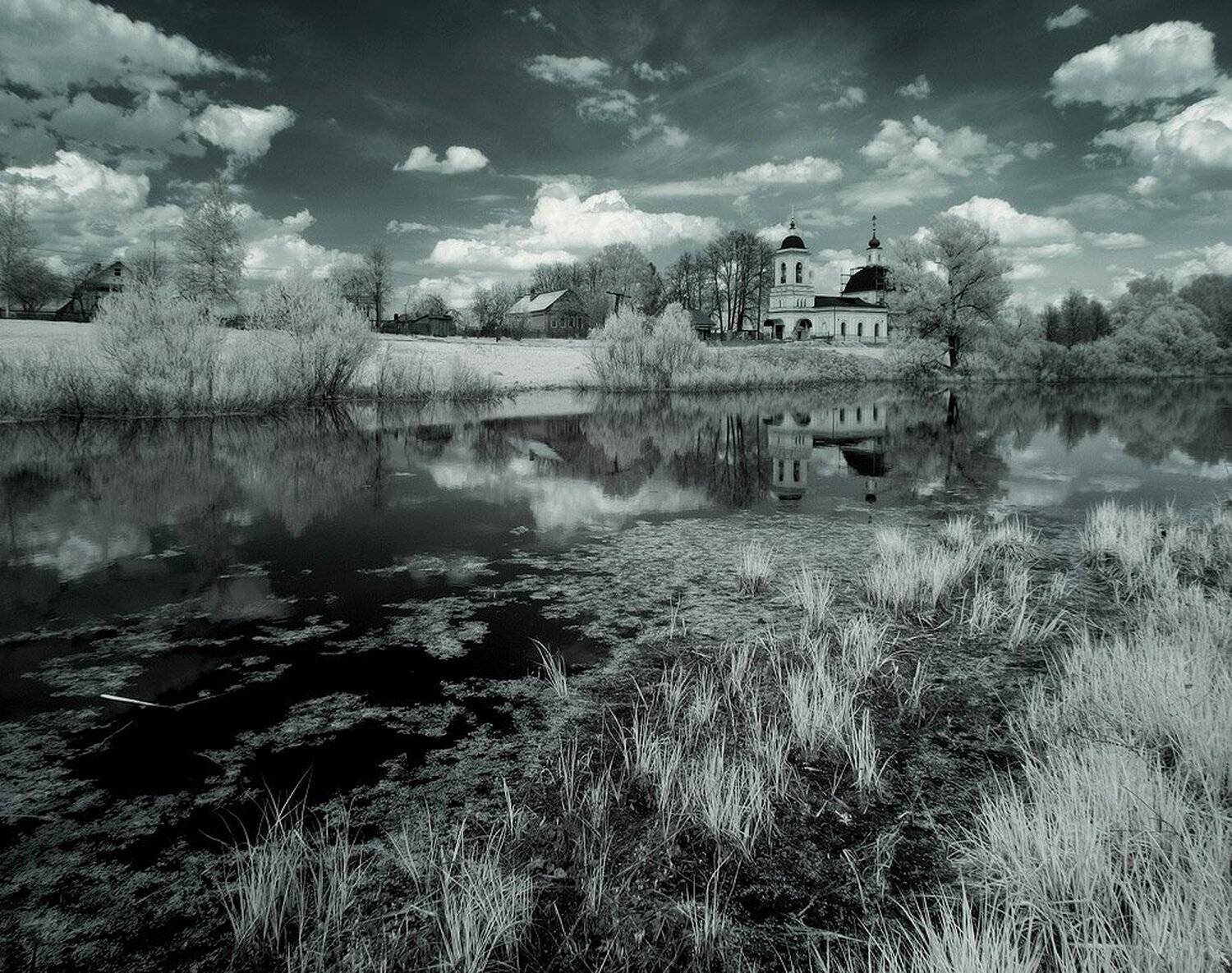 , Максим Евдокимов