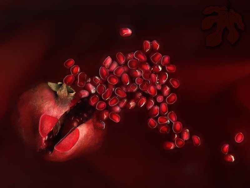 гранат, сканограмма  фото превью