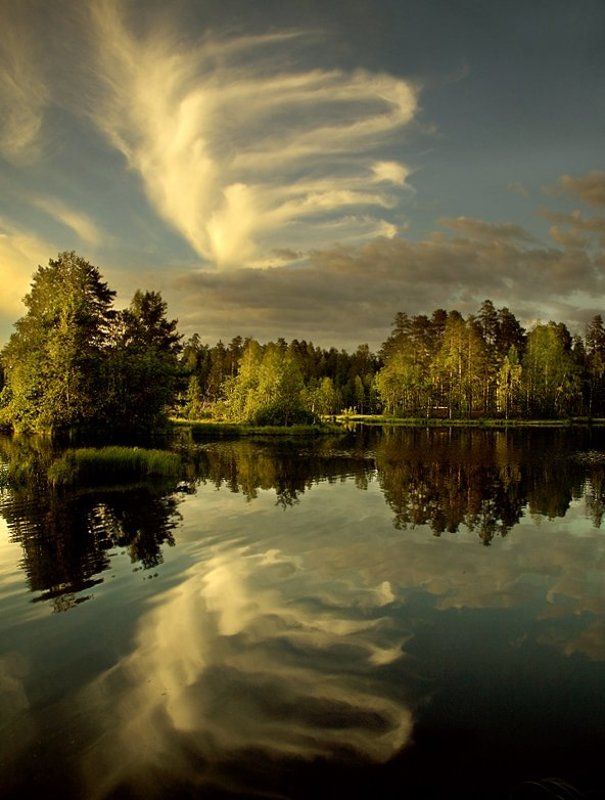 landscape, пейзаж, пружина Пружина фото превью