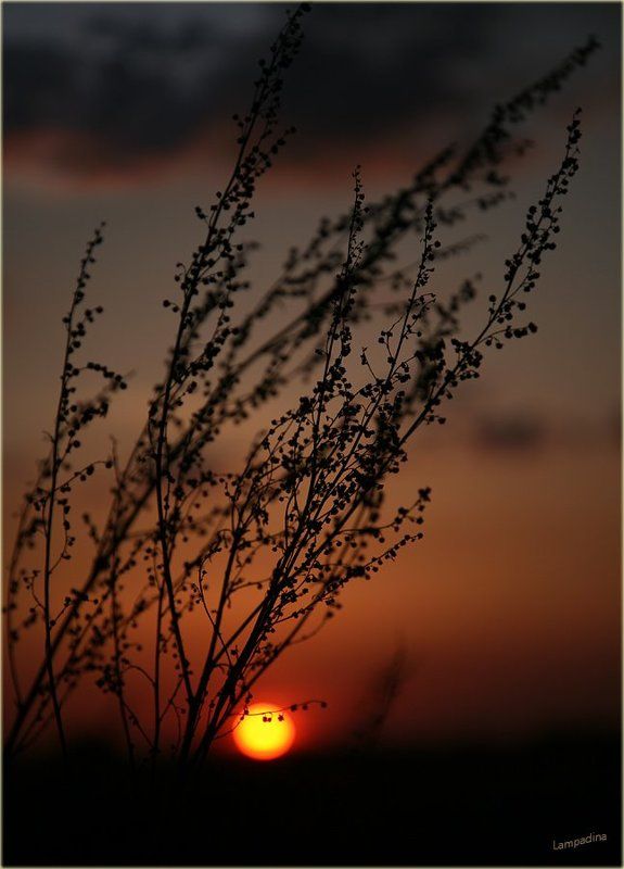 Танец уходящему солнцу 2 фото превью