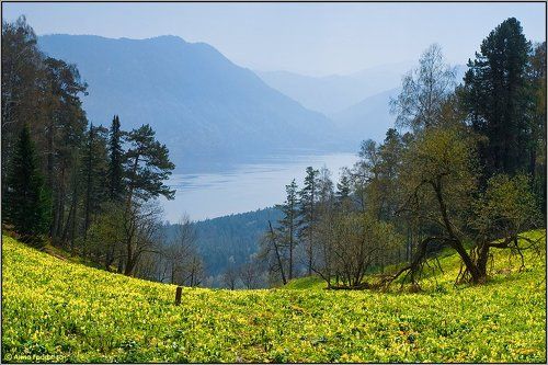 Про весну и голубые дали