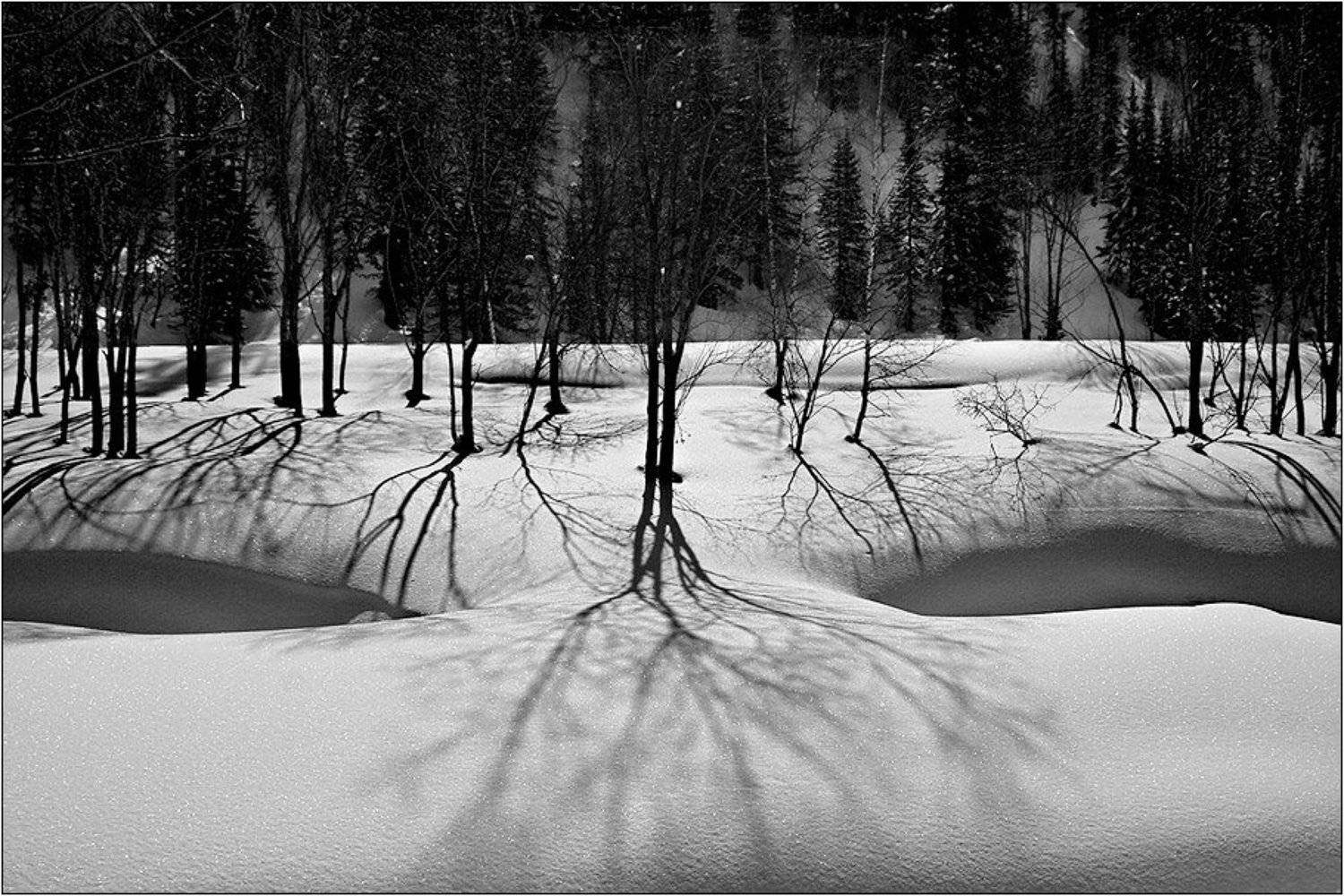 , Любовь Фурс