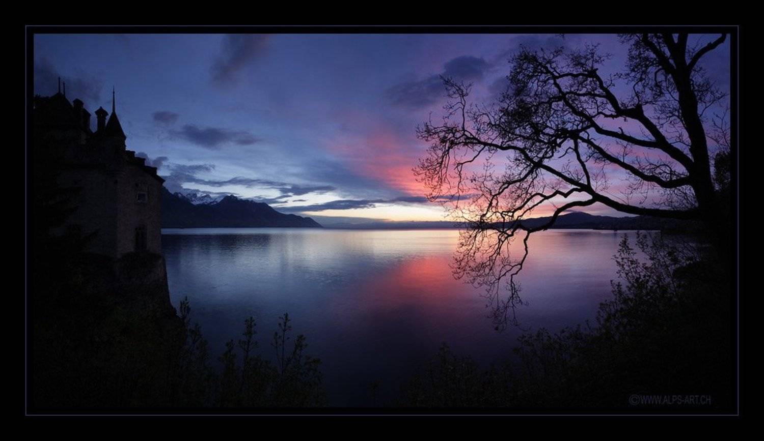 вечер, Forest Elf