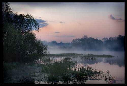 Утро туманное...