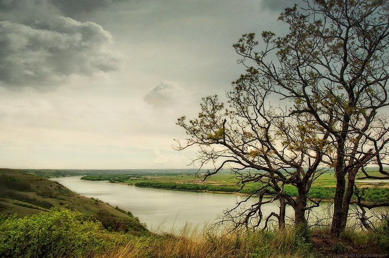 тихий Дон фото превью