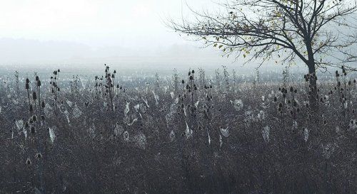 осенний бал