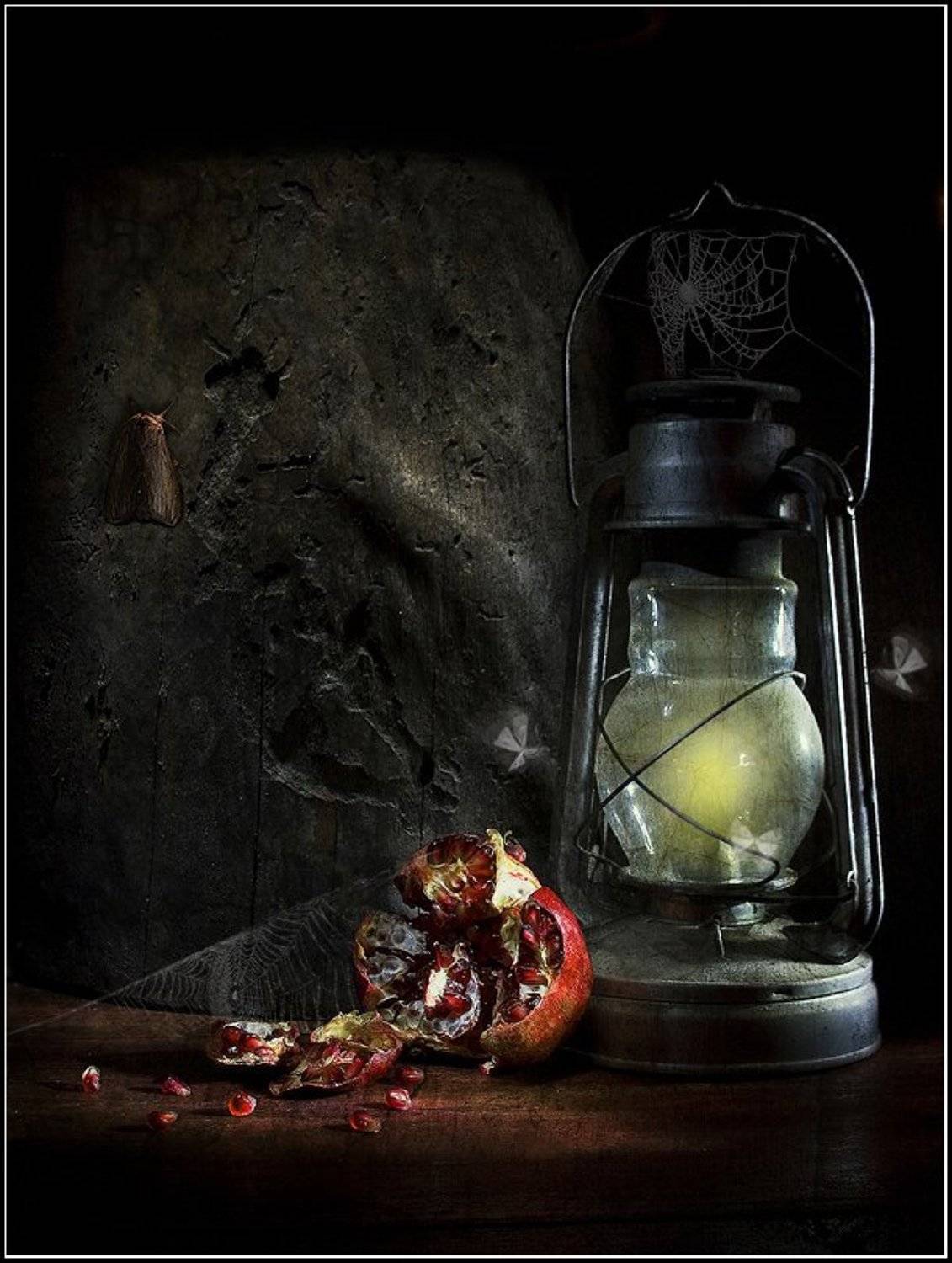 мотылёк,мотыльки,бабочки,ночные,ночной,гранат,гранаты,лампа,владимир,шипулин, Vladim_Shipulin