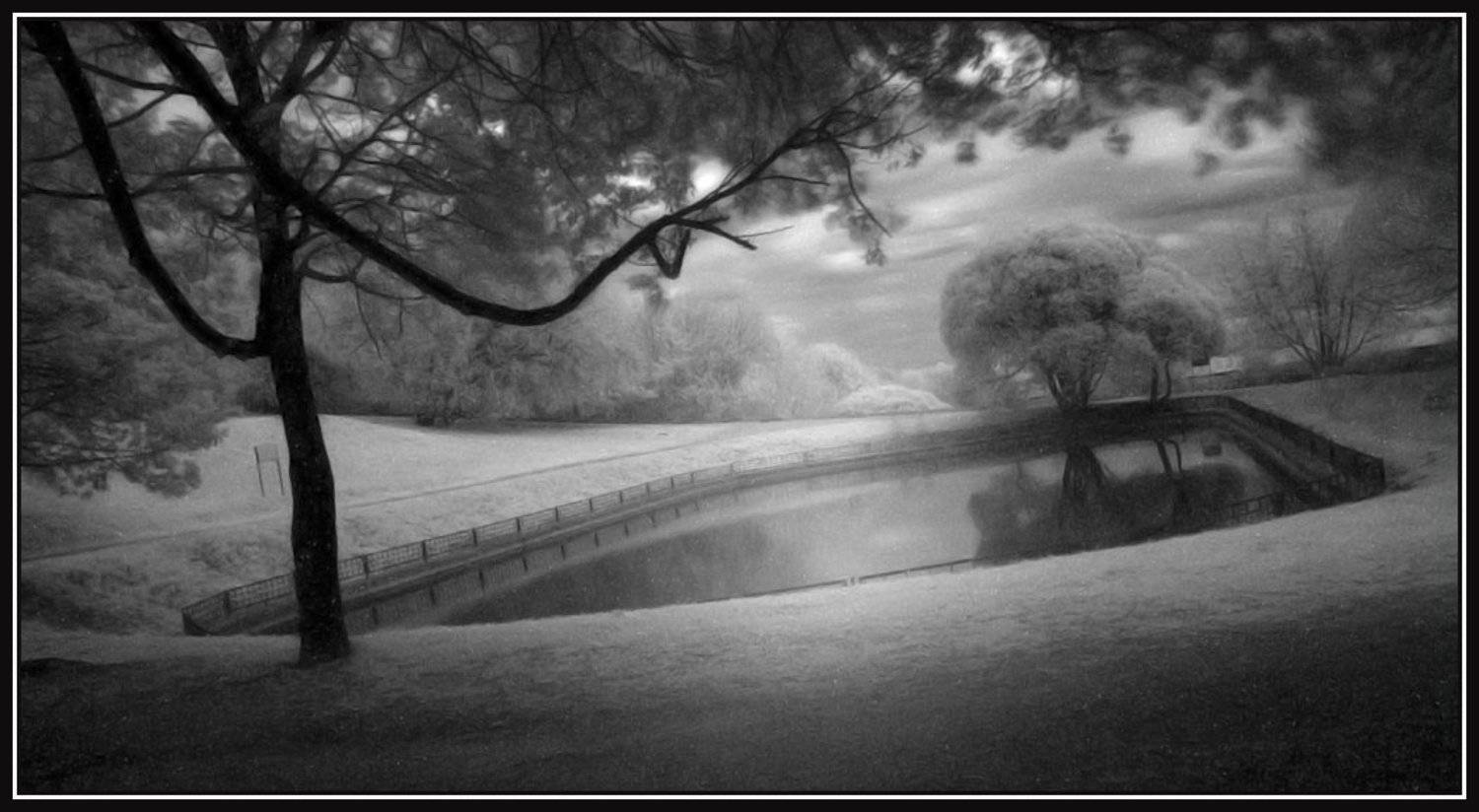 парк, пейзаж , пруд, Алексей