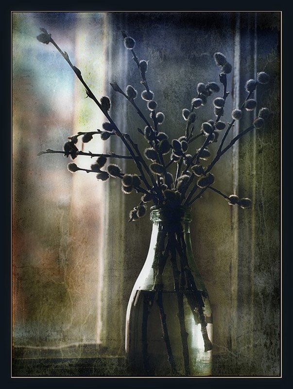 натюрморт, верба, воскресенье, окно Верба, воскресенье фото превью