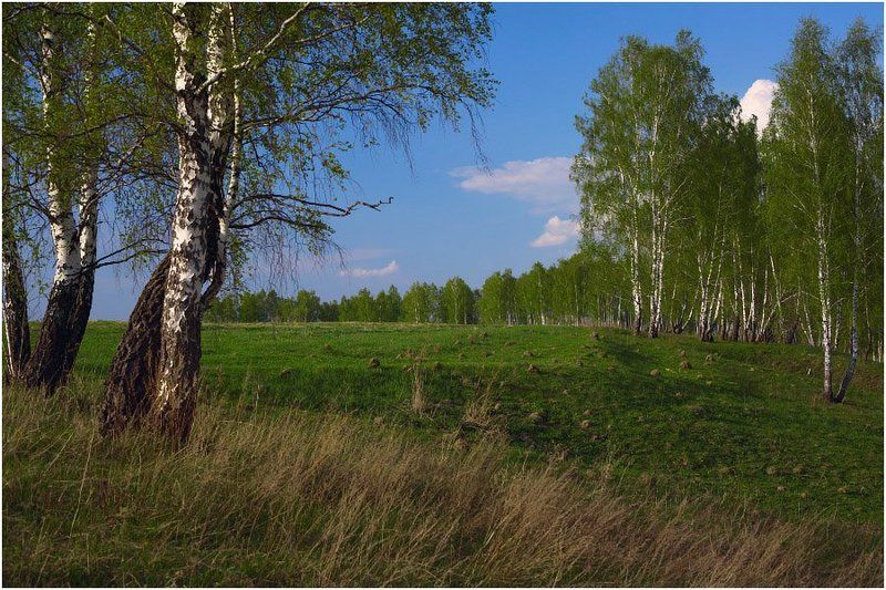 Доброе утро фото превью