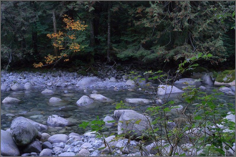 Первый звонок фото превью