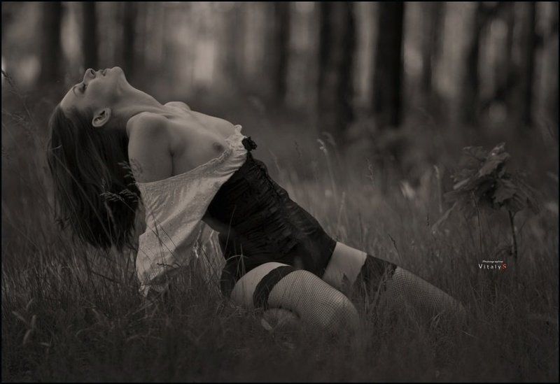 *** фото превью