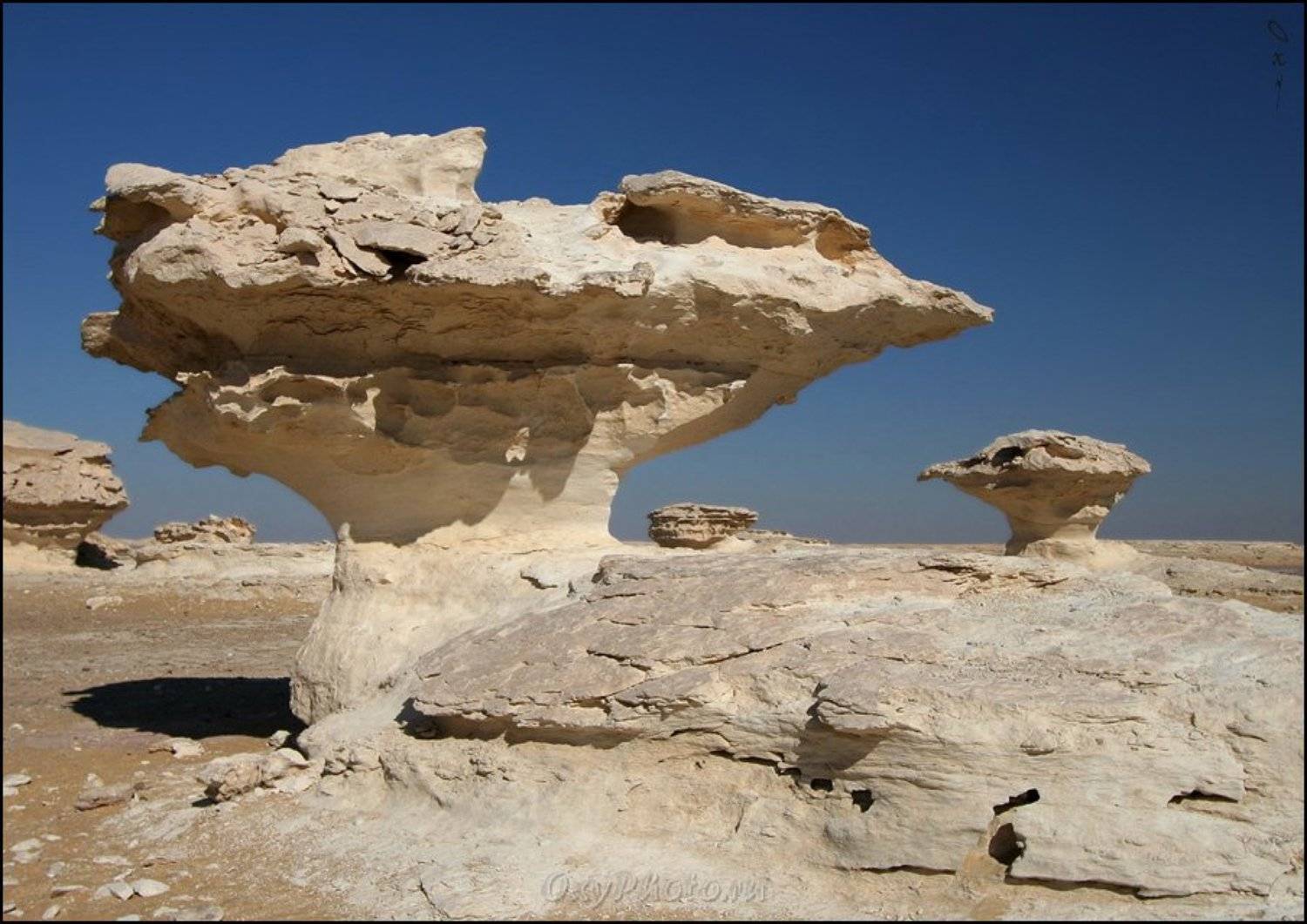 africa, egypt, libyan desert, sahara, western desert, white desert, африка, белая пустыня, египет, западная пустыня, ливийская пустыня, сахара,, Оксана Борц