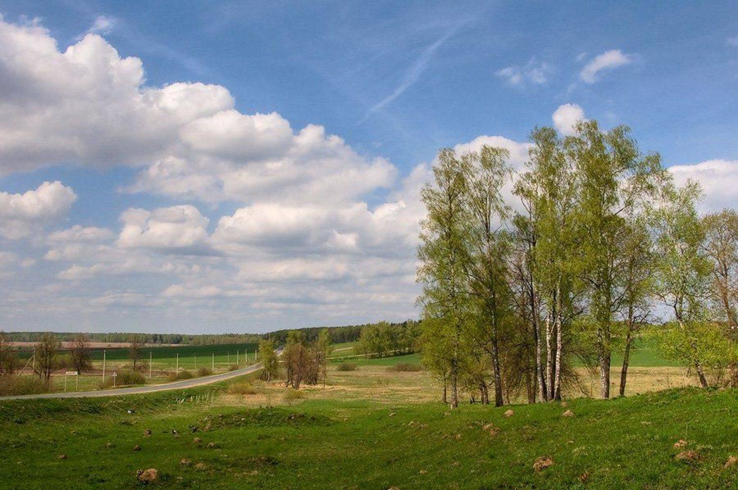 , Наталья Захарова