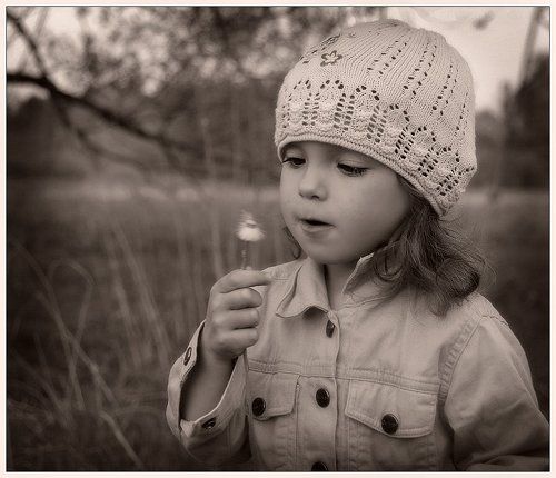 Лети, пушистик!..