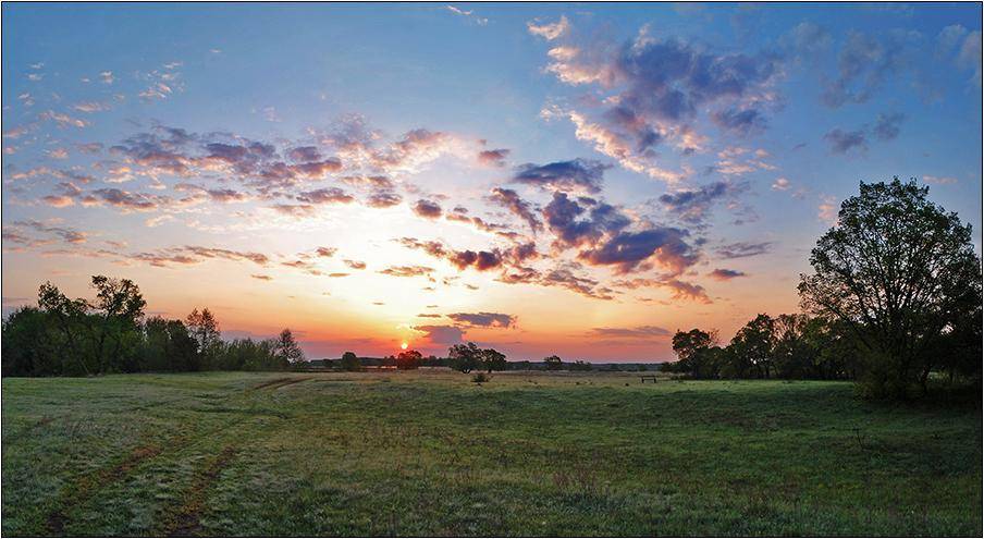 , Срибный Евгений