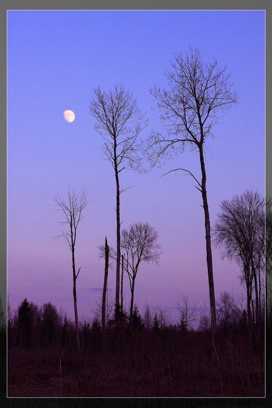 закат, луна, силуэты Свечи фото превью