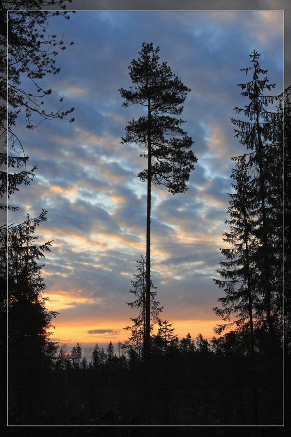 восход, шугозеро, силуэт, Владимир