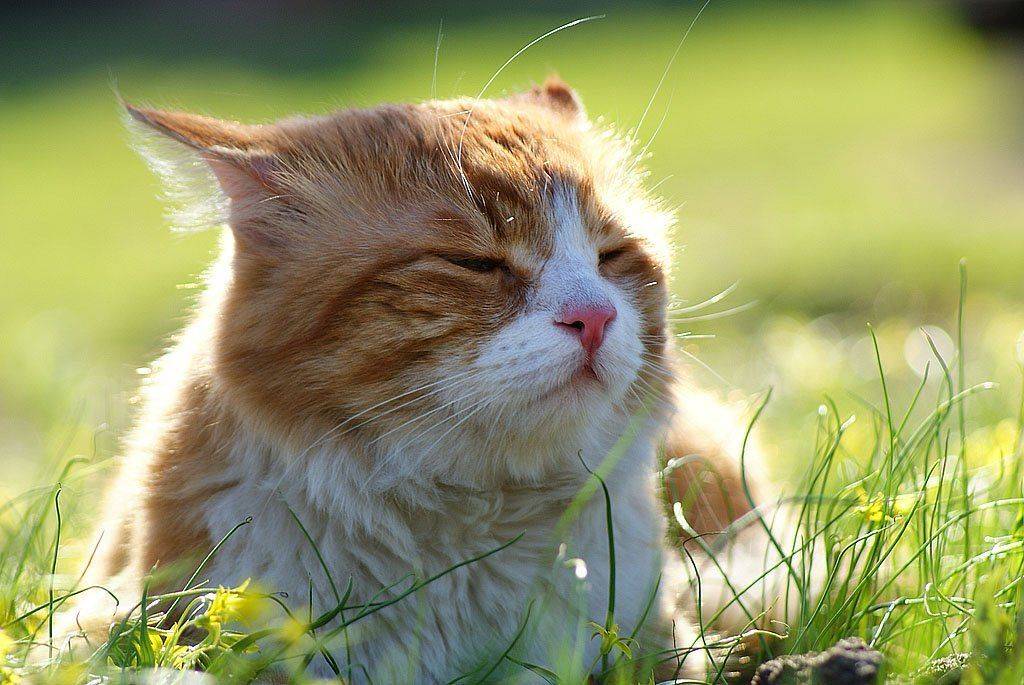 , Владислав.Т